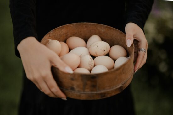 Œufs crus, principale source de contamination par la salmonelle